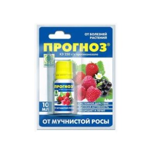 Прогноз (фл 10мл) чист.дом