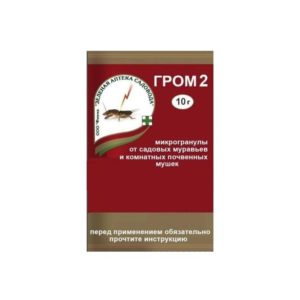 Гром-2 (пак. 10гр.) чист.дом / ЗАС