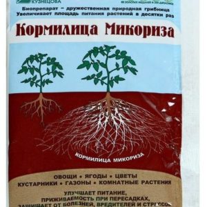 Кормилица Микориза для корней 30гр ожз