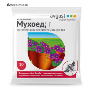 Мухоед гранулы 10гр Август