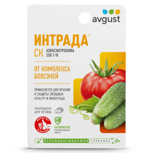 Интрада 10мл от комплекса болезней
